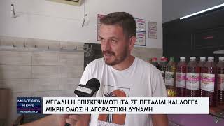 Μεσσηνία: Μεγάλη η επισκεψιμότητα σε Πεταλίδι και Λογγά - Μικρή όμως η αγοραστική δύναμη