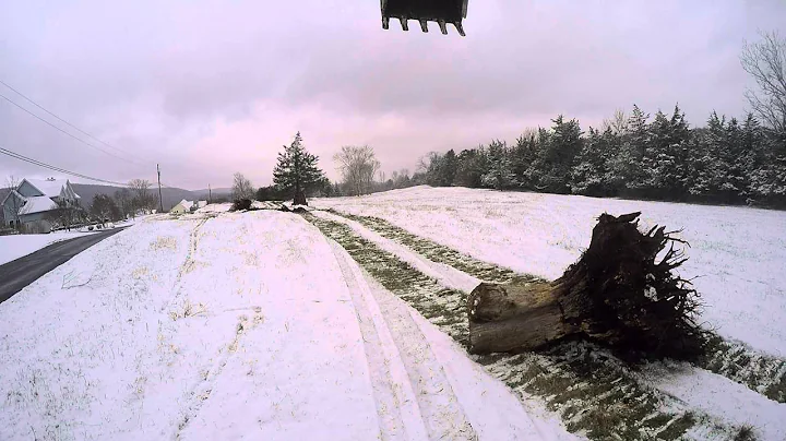 Kubota SVL 90-2 tree shear