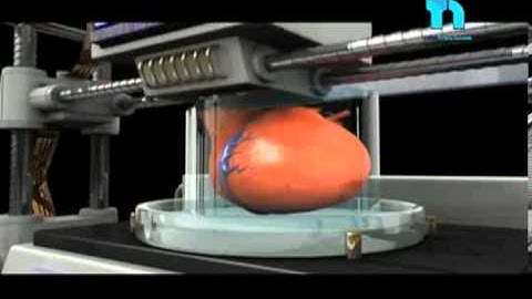 Impresión de órganos Ya es posible imprimir riñón en 3D con impresora biológica