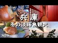 【淡路島観光】すばらしい景色と美味しすぎる食の数々|感動の観光スポット&グルメスポット|兵庫県淡路市・洲本市・南あわじ市をアラフィフ女子がめぐる旅!