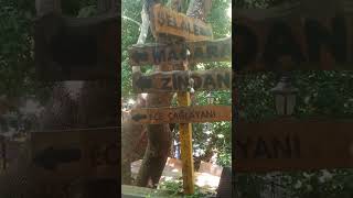 İzmir Şehrinde Dikili İlçesinde Nebiler Köyünde Aşıklar Şelalesi Görüntüleri 17 Mayıs 2025 Tarih