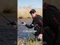 SCHRIKKEN: GROTE SNOEK PAKT AAS VOOR ONZE VOETEN!