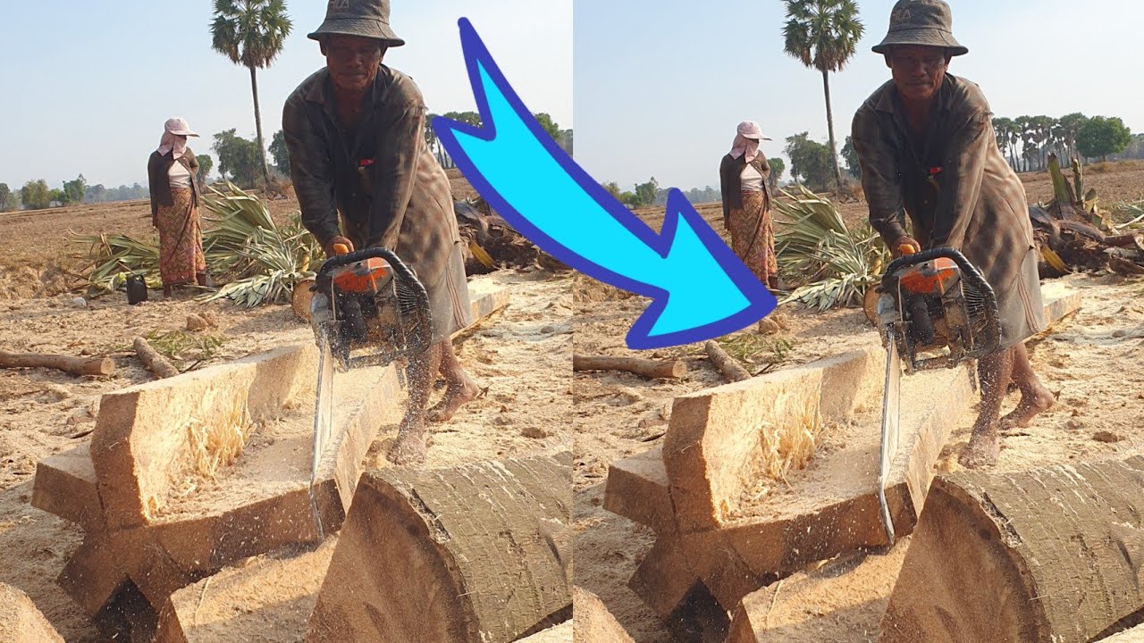 WOOD CUTTING MACHINE STIHL Chainsaw VS Old Palm Tree - YouTube