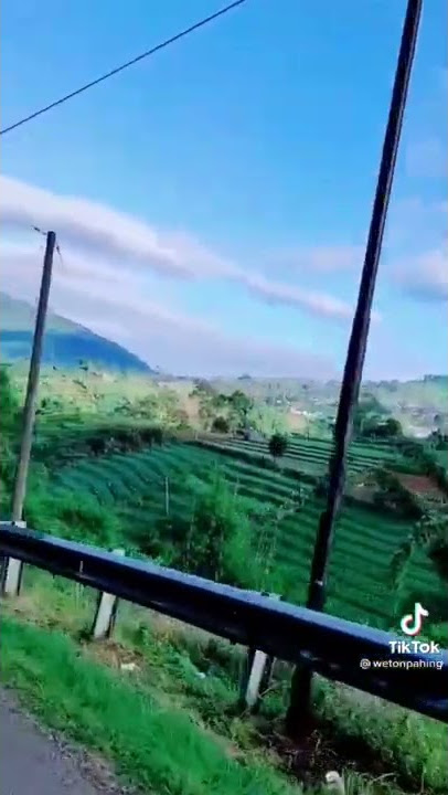 Mapai jalan satapak ngajugjug kahiji lembur#mawarbodas #storywa #sunda#bandung #sukabumi