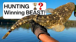 FISHING for a Tournament Winning BEAST! (Different Baits and Lures & Hookups)