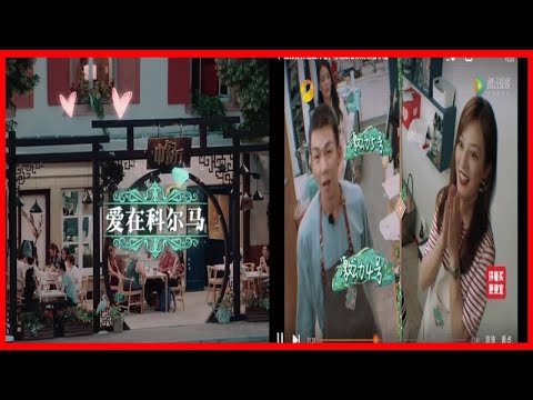中餐廳：愛在馬爾科，合伙人化身紅娘促良緣