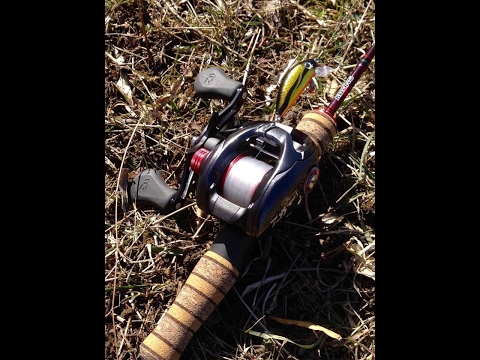 პირველი გასვლა კასტინგით