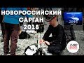Новороссийский Сарган 2018, ловля на пилькеры, морская рыбалка! Carpleader.RU