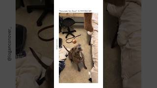 "Excuses his face" IS FRYING ME 😂 (via: @loganconover_/tt)