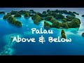 Palau Above and Below - DJI Mavic Pro & GoPro - Palau Siren Liveaboard