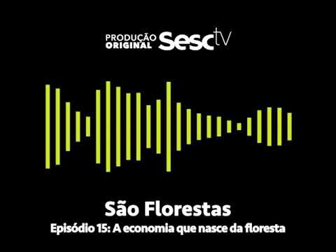 Episode 15: The economy that comes from the forest