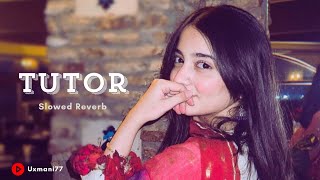 TUTOR (Slowed + Reverb) 🖤 | Cheema Y x Gur Sidhu | Feel Every Beat | Punjabi Lofi Vibes 💫