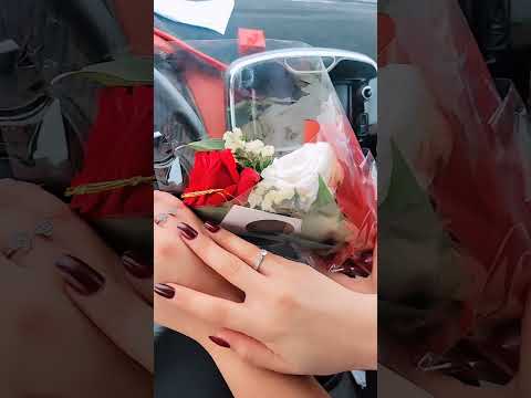 حبيبتي و دنيتي