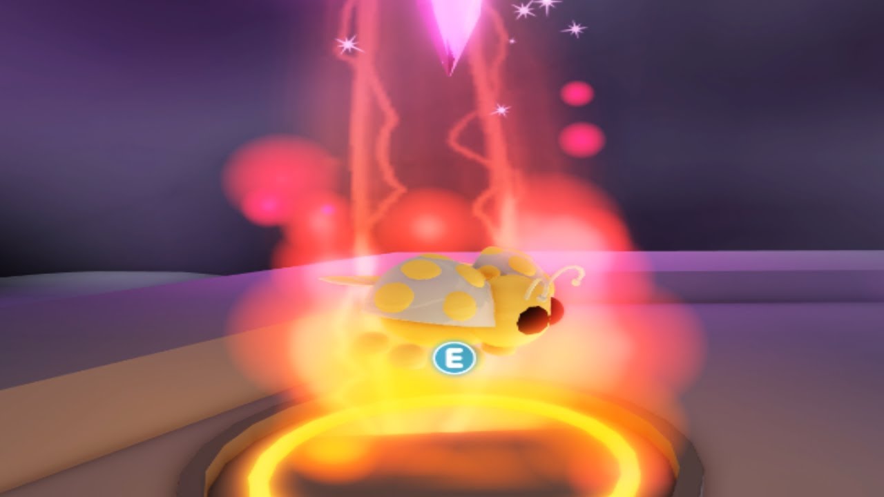 Neon Golden Ladybug in Adopt me Making a neon gold ladybug YouTube