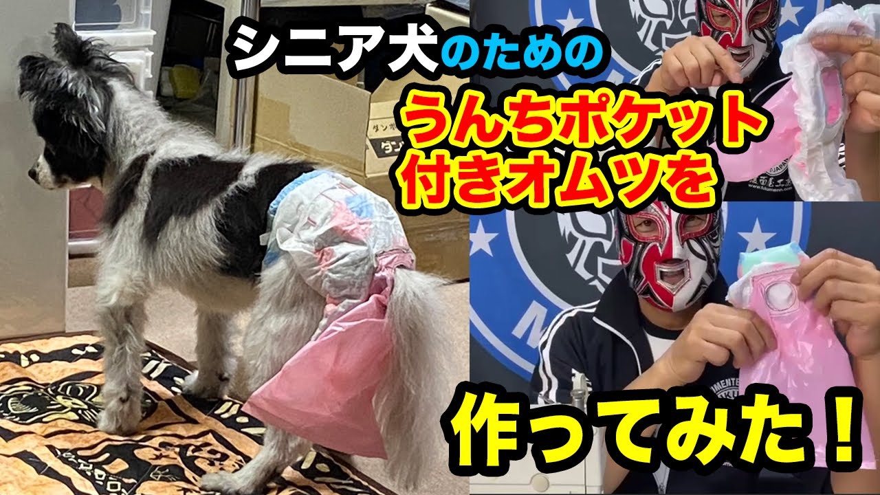 シニア犬のための「うんちポケット」付きオムツを作ってみた
