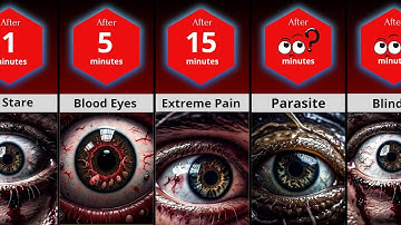 Timeline: What If You Stopped Blinking?