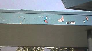 Stickers I found
How did they get up there!?
Ladder. Stickers I found