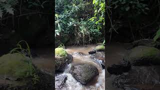 Part 2;3 Acres with a river in Ndunduri for ksh.6.5M!