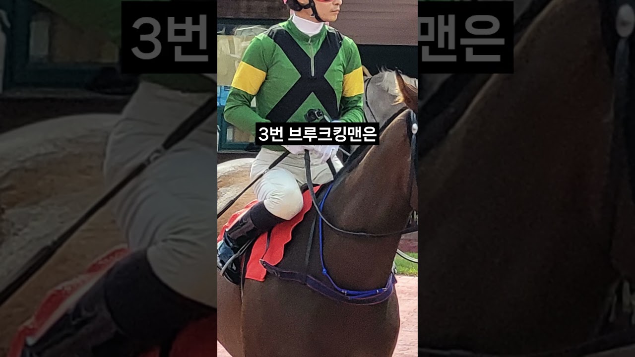 26.01.25 부산경마 06경주