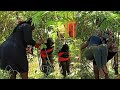 TEARS IN THE MIDDLE OF THE FOREST Nundu Man Arrived Too Late Mother With A Newborn Baby Has 
