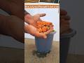 How to grow marigold from seedsshorts shortfeed  viralshorts  marigold marigoldflower