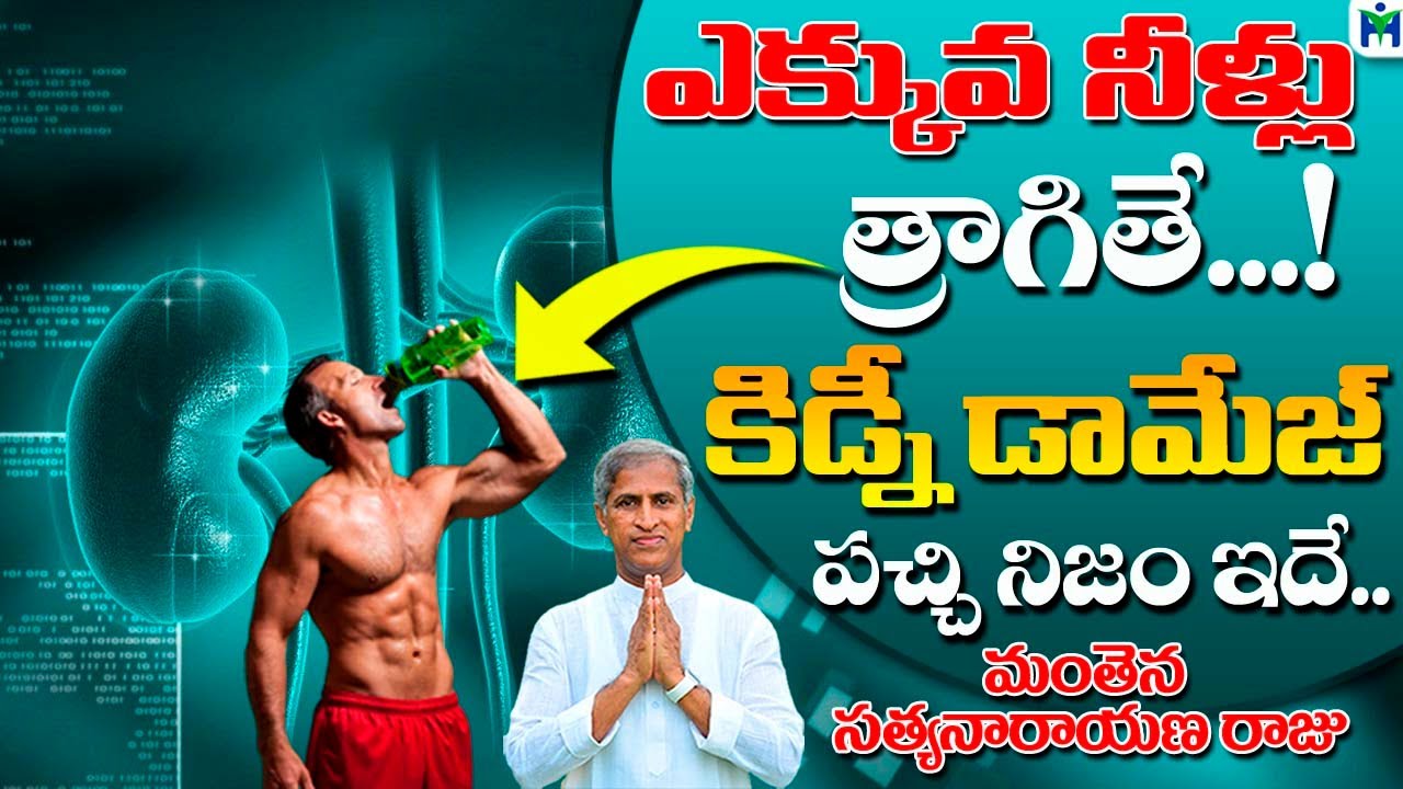 నీళ్లు ఎక్కువ త్రాగితే కిడ్నీ డామేజ్ పచ్చి నిజం ఇదే  | Manthena Satyanarayana Raju |Health Mantra |
