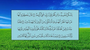 سورة النمل (الآية 27 ~ الآية 58) - ياسر بن راشد الدوسري