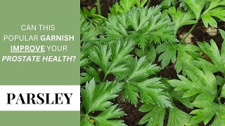 PARSLEY - BENEFITS & MEDICINAL USES / HOW TO REAP THE BENEFITS / PRECAUTIONS + more