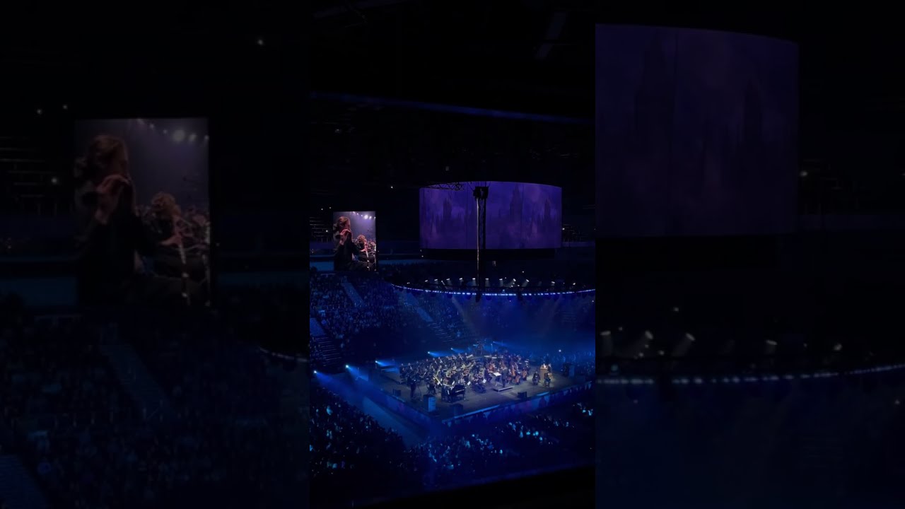 🪄💫 Harry Potter Main Theme - Imperial Orchestra Cinema Medley Show