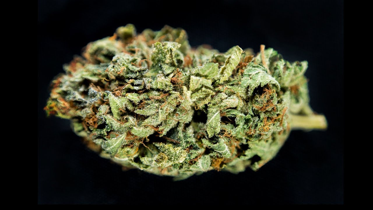 Did the Rebbe ever speak about using marijuana?