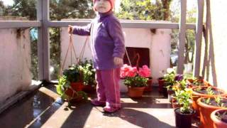 IMG_0016.AVI