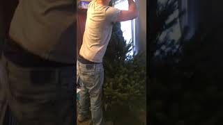 Ethan's first Christmas tree 2