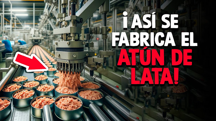 ¿Cómo Se Hace El Atún En Lata? [Proceso En Fábrica]