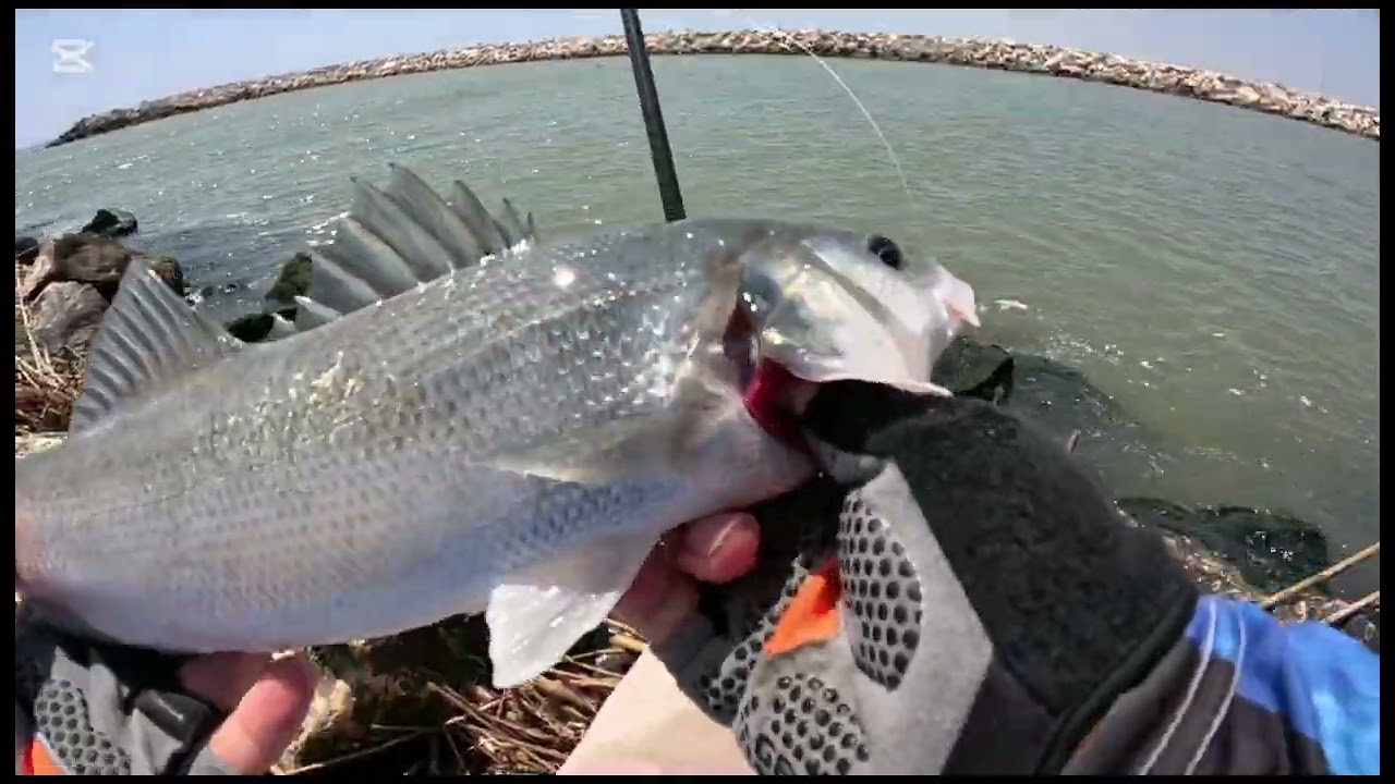 OĞLUMLA BİRLİKTE GÜZEL BİR LEVREK AVI YAPTIK!!!