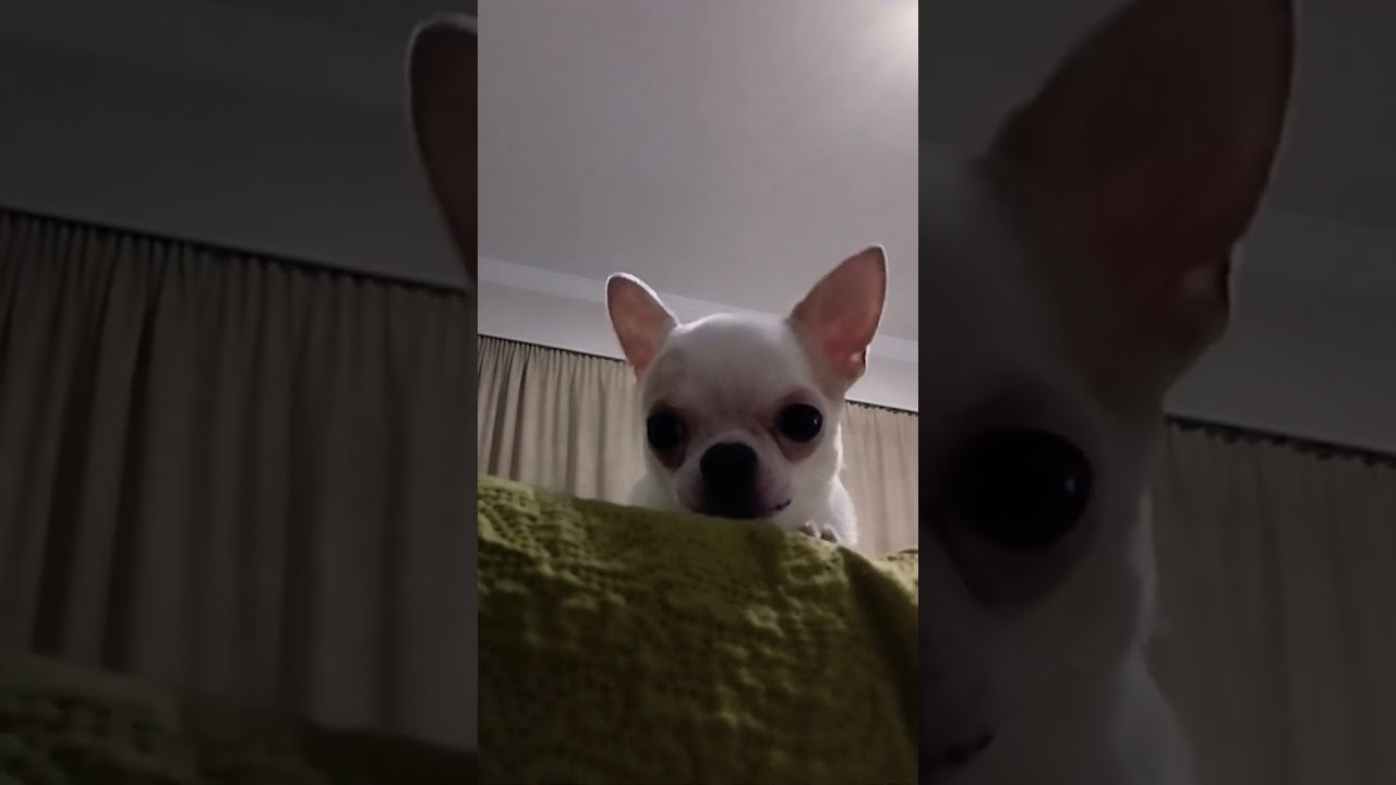 10 марта 2024 г.