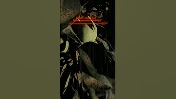 ﴿سَيُهزَمُ الجَمعُ وَيُوَلّونَ الدُّبُرَ﴾🐎 - قرآن كريم بصوت محمد صديق المنشاوي ❤️💖