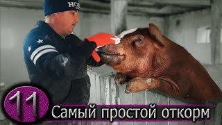 БМВД - это выгодно и просто!