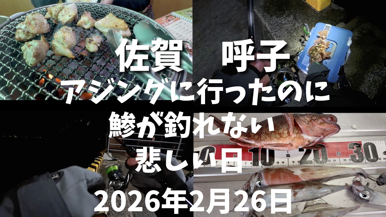 【アジング】　　佐賀　呼子　釣り車中泊