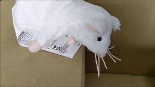 IKEAの福袋2020を見てみよう