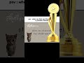 subscribe please my channel
