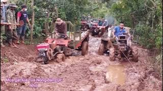 mùa gặt lúa của Nông dân  với xe Cong Nong vô-lăng con đuờng mặc lây!...