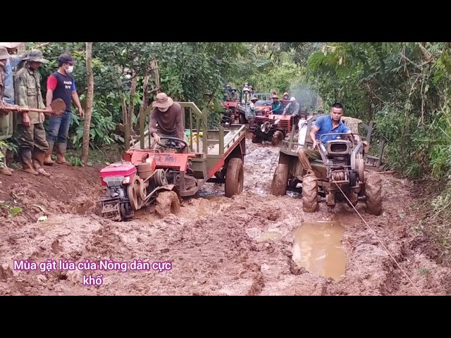 mùa gặt lúa của Nông dân  với xe Cong Nong vô-lăng con đuờng mặc lây!... class=