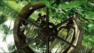 Camera Spinning Focusing On Subject Movie Shots Compilation Music Video (Part 1)