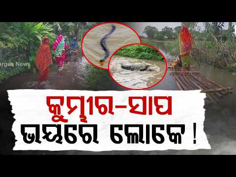 Mantei River Flood: Villagers Stranded Amid Double Threat Of Water And Crocodiles | Argus News