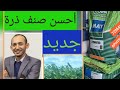 أحسن صنف ذرة السلوجة مقاوم لمرض الإصفرار أو الفيزاريوز لشركة أفيسام 72MAY80 