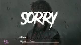 Netral - Sorry_Video lirik