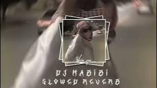 DJ HABIBI VIRAL TIK TOK Slowed reverb