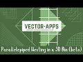 VECTOR APPS - Parallelepiped Nesting in a 3D Bin