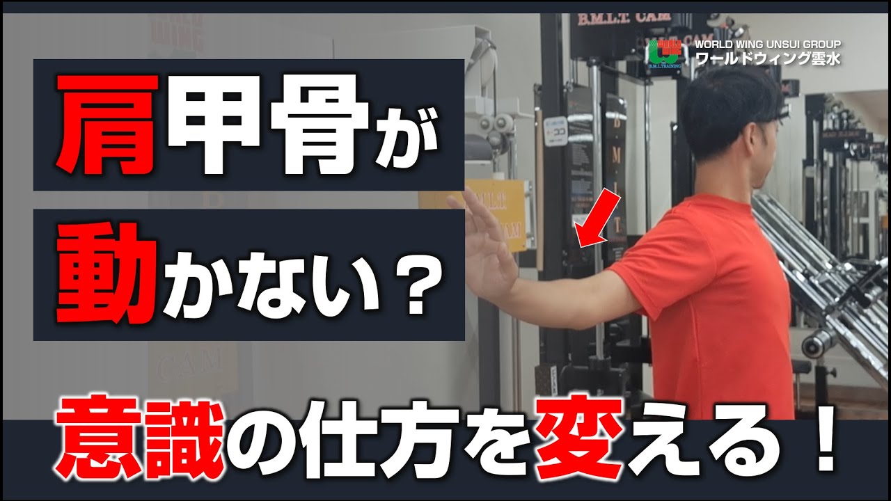 肩甲骨が思うように動かない人へ｜うまく動かすための意識のコツ