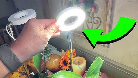 LORDEM Full Spectrum LED Grow Light, Height Adjustable Growing Lamp with Auto On/Off Timer 4/8/12H